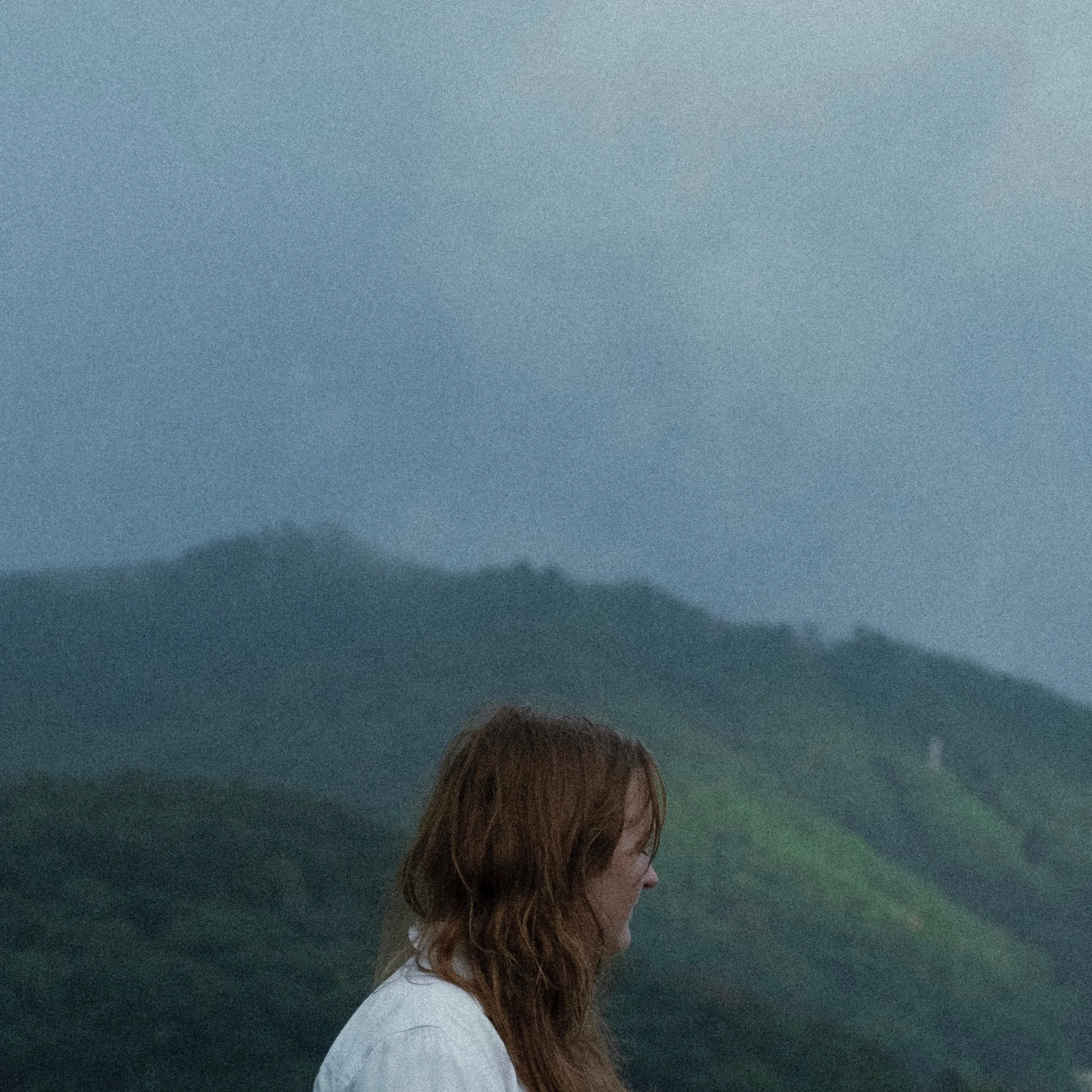 Hana Stretton: Seagull Theory II and What Came Before This