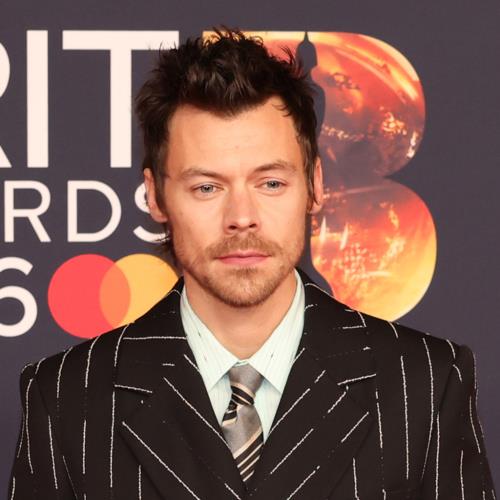 Harry Styles Casts Engaged Couple From His Show in New Music Video